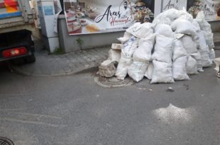 Güngören Moloz Atımı